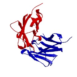 Image of CATH 2qst