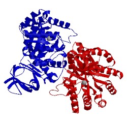 Image of CATH 2qt3
