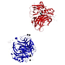 Image of CATH 2qt6