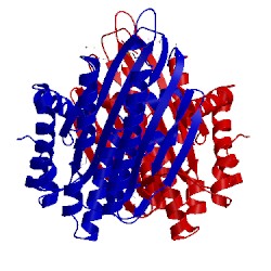 Image of CATH 2qt8
