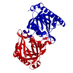 Image of CATH 2qtg