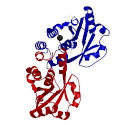Image of CATH 2qtm