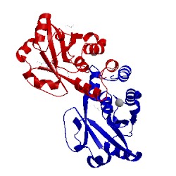 Image of CATH 2qtn