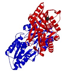 Image of CATH 2qu7
