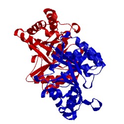 Image of CATH 2qv5