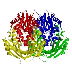 Image of CATH 2qv6