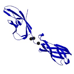Image of CATH 2qvi