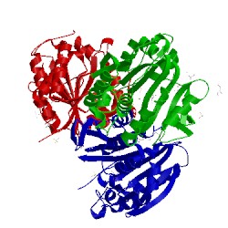 Image of CATH 2qvp