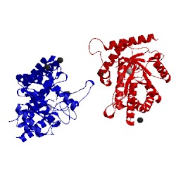 Image of CATH 2qw5