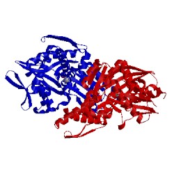 Image of CATH 2qwl