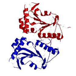Image of CATH 2qwv