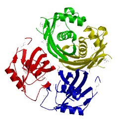 Image of CATH 2qwz