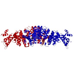 Image of CATH 2qx5