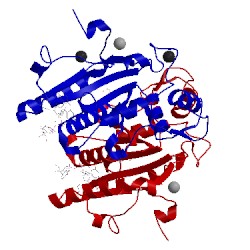 Image of CATH 2qx8