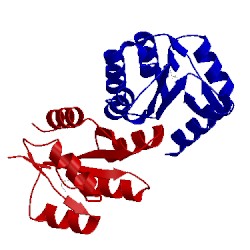 Image of CATH 2qxy
