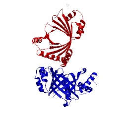 Image of CATH 2qy2