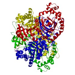 Image of CATH 2qyg