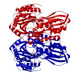 Image of CATH 2qyv