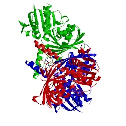 Image of CATH 2qz9