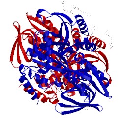 Image of CATH 2r46