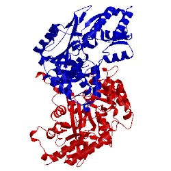 Image of CATH 2r5c