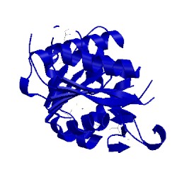 Image of CATH 2r5f