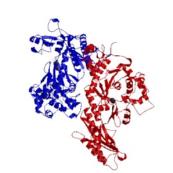 Image of CATH 2r8k