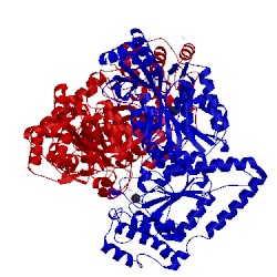 Image of CATH 2r8p