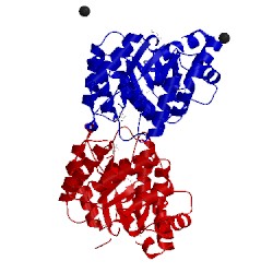 Image of CATH 2r8w