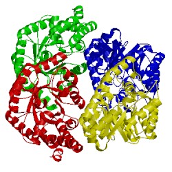 Image of CATH 2r91