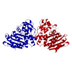 Image of CATH 2r9x