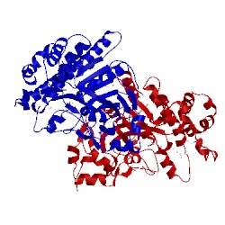 Image of CATH 2rad