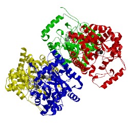 Image of CATH 2rag