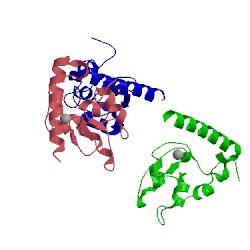 Image of CATH 2rax