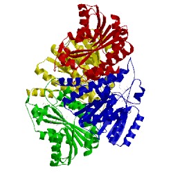 Image of CATH 2rbe