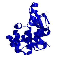 Image of CATH 2rbo