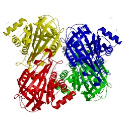 Image of CATH 2rc6