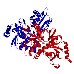 Image of CATH 2rc8
