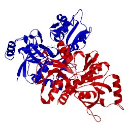 Image of CATH 2rc9