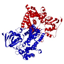 Image of CATH 2rcm