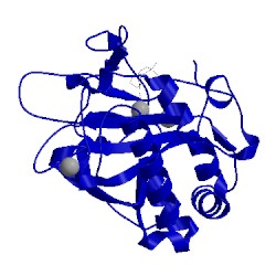 Image of CATH 2rds