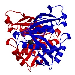 Image of CATH 2ree