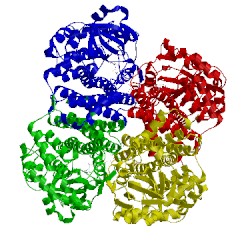 Image of CATH 2reh