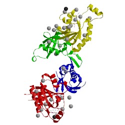 Image of CATH 2rex