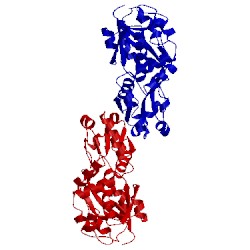 Image of CATH 2rf1