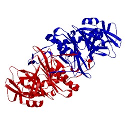 Image of CATH 2rf8