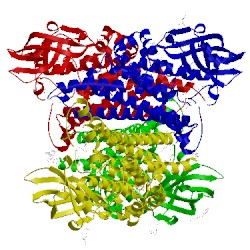 Image of CATH 2rfq