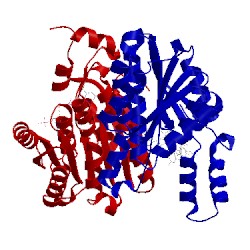 Image of CATH 2rhr