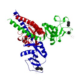 Image of CATH 2rib