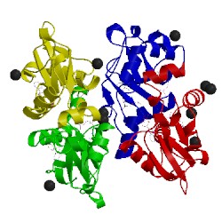 Image of CATH 2rif
